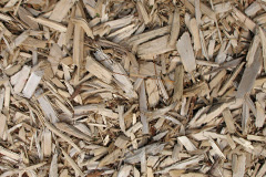 biomass boilers Midbea